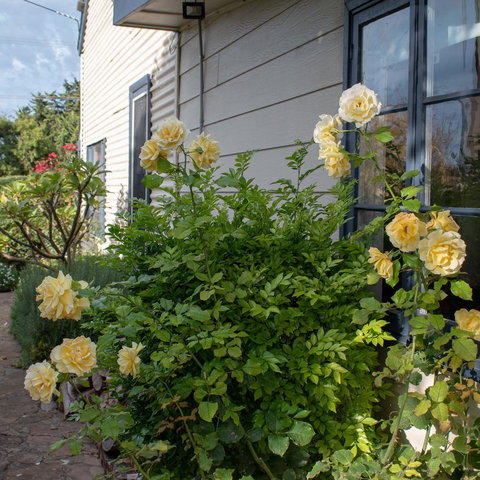 Haven Cottage Kangaroo Island - Yamba Accommodation 1