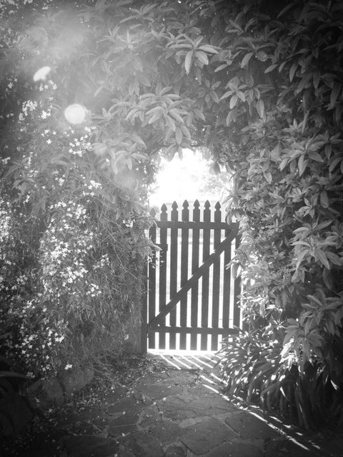 Haven Cottage Kangaroo Island - Yamba Accommodation 33