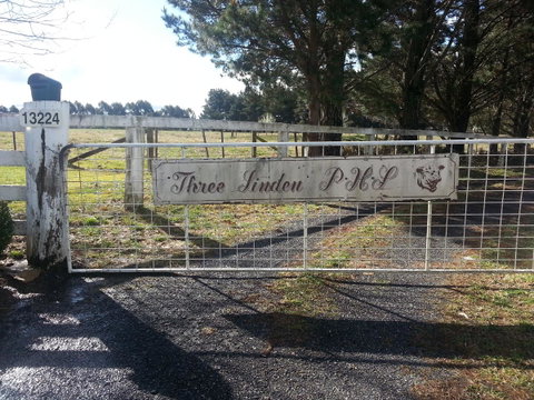 Three Linden - Yamba Accommodation 6