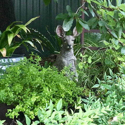 Hahndorf Oak Tree Cottages - Yamba Accommodation 12
