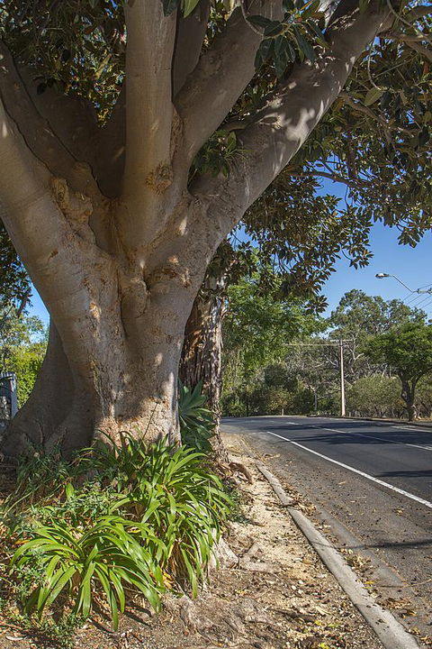 Stoneleigh Cottage Bed And Breakfast - Yamba Accommodation 25