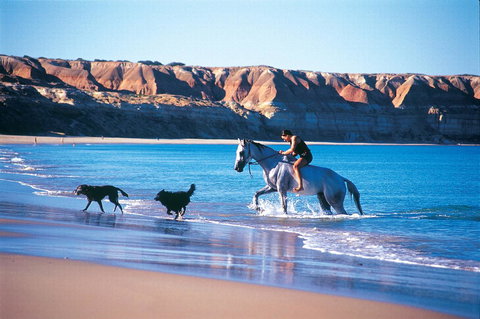 Lavina Luxury Beach House - Yamba Accommodation 25