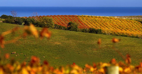 Lavina Luxury Beach House - Yamba Accommodation 14