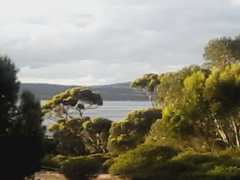 Mallee Bark Retreat - Yamba Accommodation 11