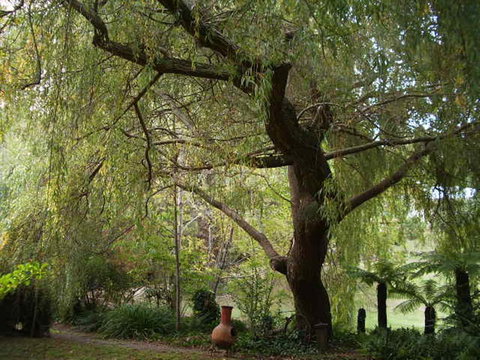 Hilltop - Yamba Accommodation 14