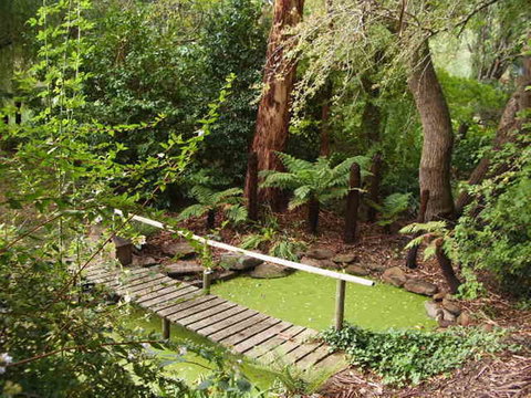 Hilltop - Yamba Accommodation 10