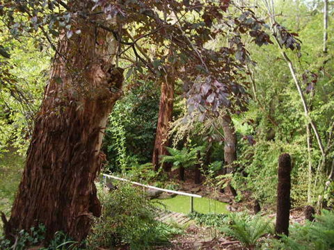 Hilltop - Yamba Accommodation 13