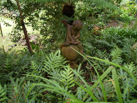 Hilltop - Yamba Accommodation 15