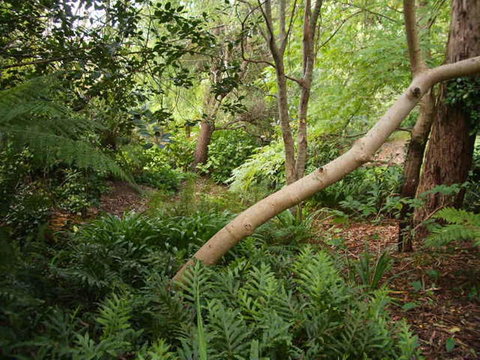 Hilltop - Yamba Accommodation 17