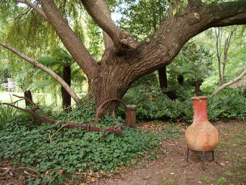 Hilltop - Yamba Accommodation 18