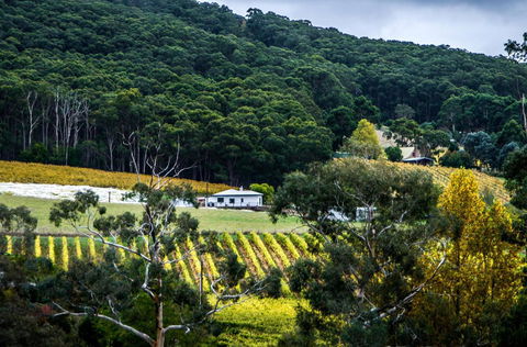 Esto House - Yamba Accommodation 4