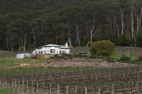 Esto House - Yamba Accommodation 3