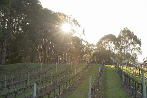Esto House - Yamba Accommodation 2