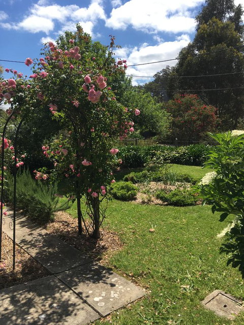 Hilltop Too - Yamba Accommodation 13