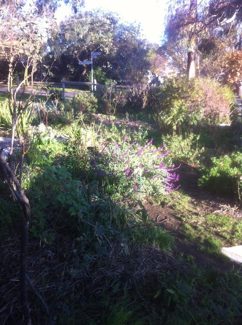 Hilltop Too - Yamba Accommodation 12