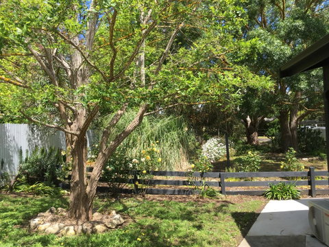 Hilltop Too - Yamba Accommodation 7