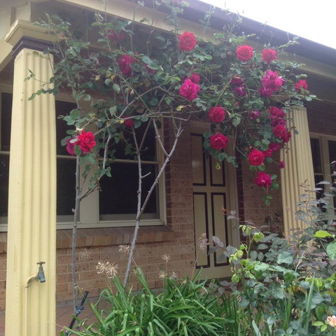 Oats Cottage - Yamba Accommodation 3