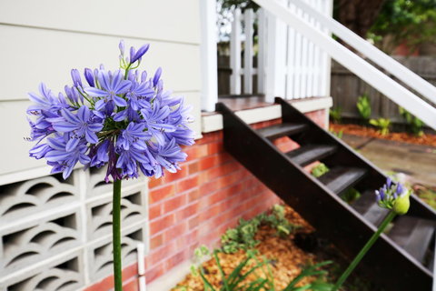 Hudson Bay @ Basin View-Pet Friendly-15 Mins To Hyams Beach - Yamba Accommodation 38