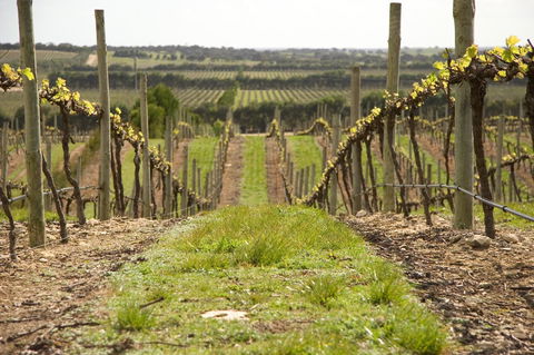 Lakeview Motel And Apartments - Yamba Accommodation 37