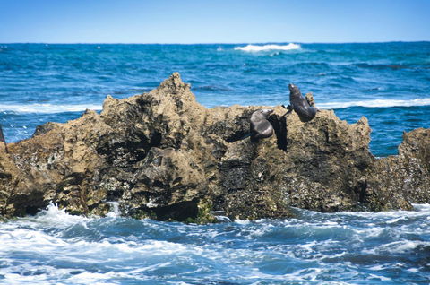 Lakeview Motel And Apartments - Yamba Accommodation 24