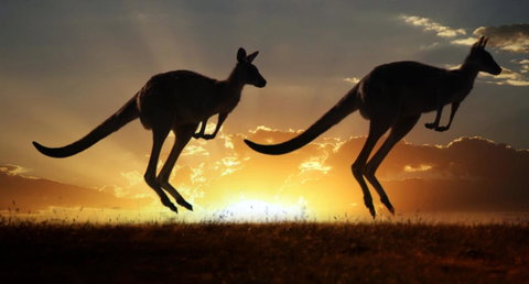 The Lookout Cave Underground Motel - Yamba Accommodation 23