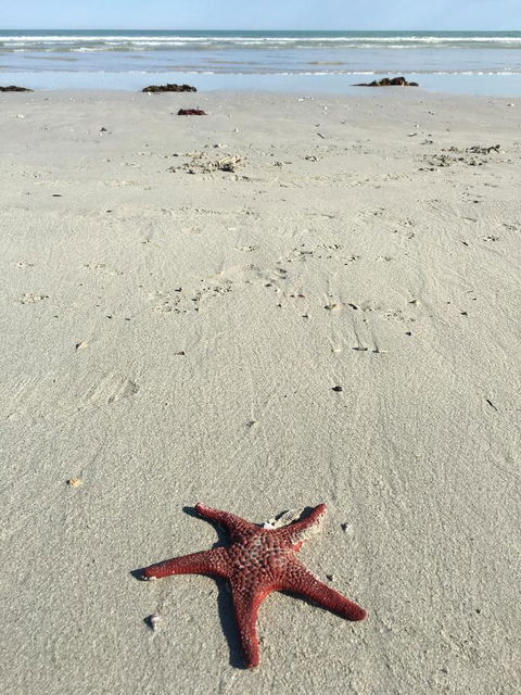 Caledonian Inn - Yamba Accommodation 14