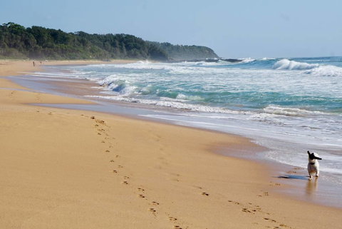 Culburra Beachhouse - Yamba Accommodation 7