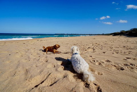 Culburra Beachhouse - Yamba Accommodation 8