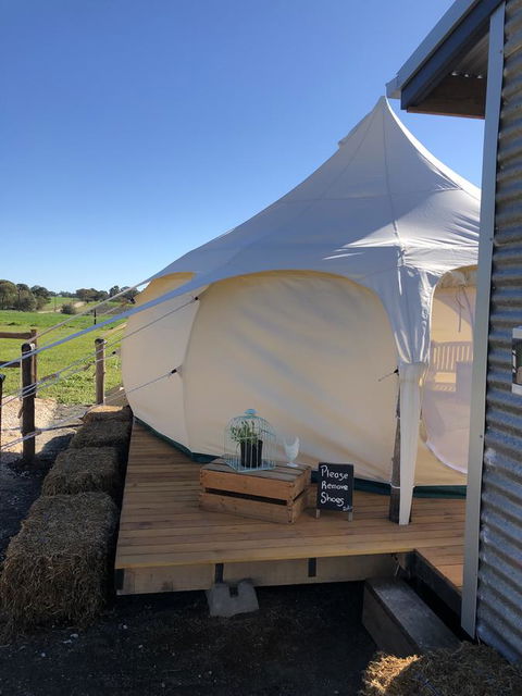 Bukirk Glamping & Fancy Coops - Yamba Accommodation 11