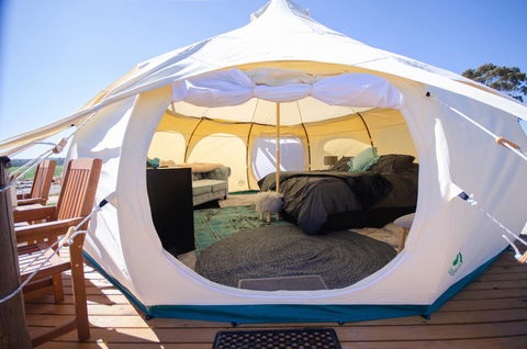 Bukirk Glamping & Fancy Coops - Yamba Accommodation 14
