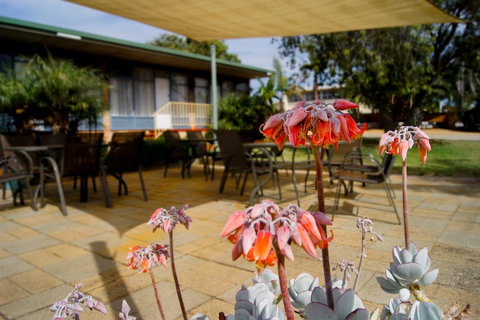 Kangaroo Island Seaview Motel - Yamba Accommodation 3
