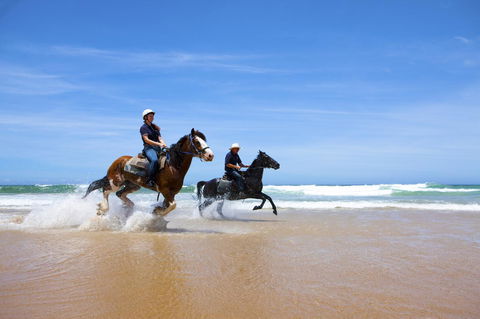 One Mile Retreat - Yamba Accommodation 26