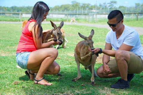 One Mile Retreat - Yamba Accommodation 25