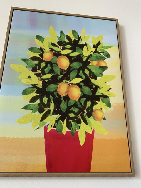 Sunshine Three - Yamba Accommodation 2