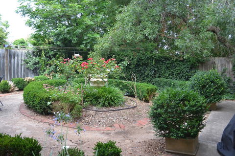 A Secret Treasure - Yamba Accommodation 17