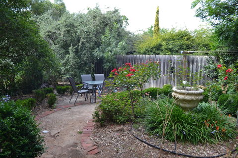 A Secret Treasure - Yamba Accommodation 16