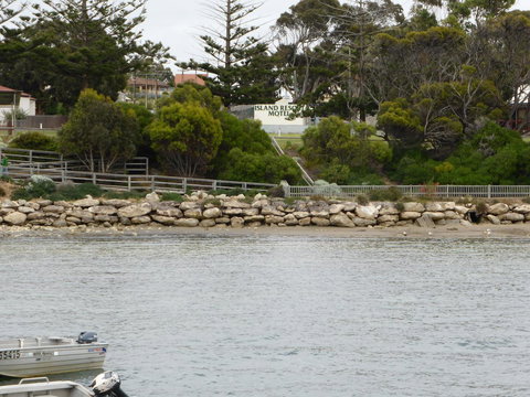 Island Motel Kingscote - Yamba Accommodation 4