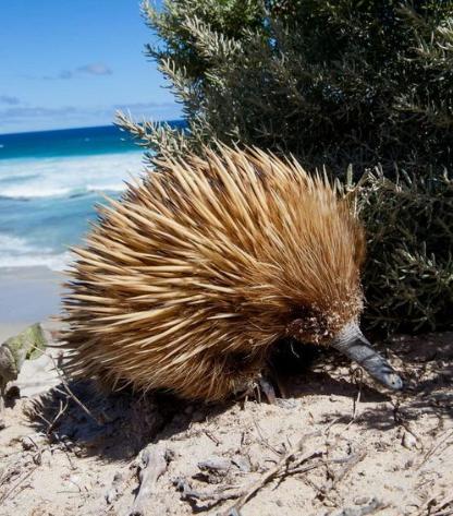 Saar River House - Yamba Accommodation 15