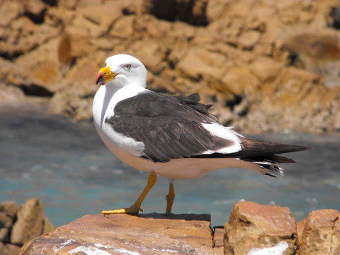 Saar River House - Yamba Accommodation 26