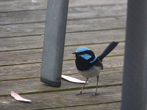 Saar River House - Yamba Accommodation 3