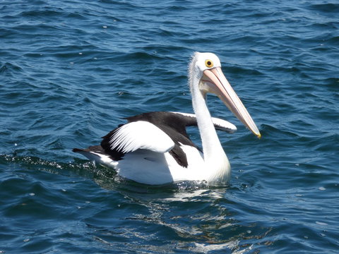 Saar River House - Yamba Accommodation 6