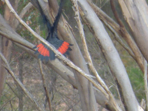 Saar River House - Yamba Accommodation 5