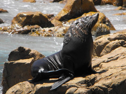 Saar River House - Yamba Accommodation 23