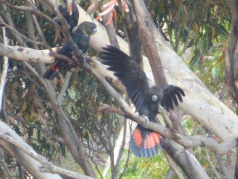 Saar River House - Yamba Accommodation 4