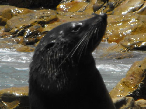 Saar River House - Yamba Accommodation 25