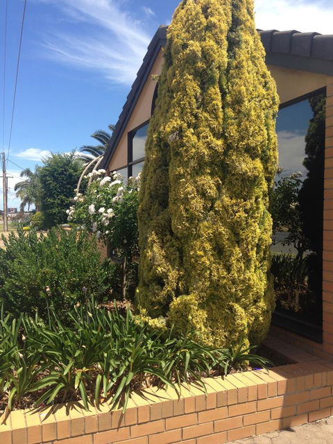 Aviators Lodge - Yamba Accommodation 9