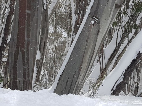 CHILL-OUT - Thredbo - Yamba Accommodation 30