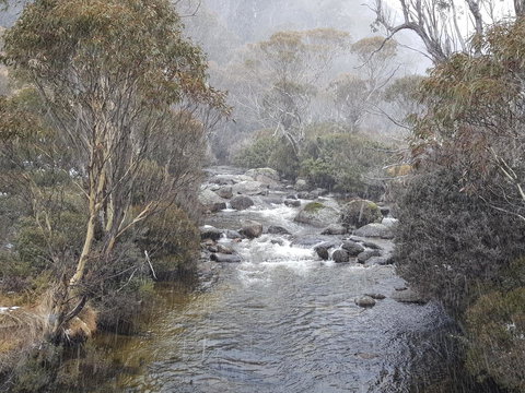 CHILL-OUT - Thredbo - Yamba Accommodation 23