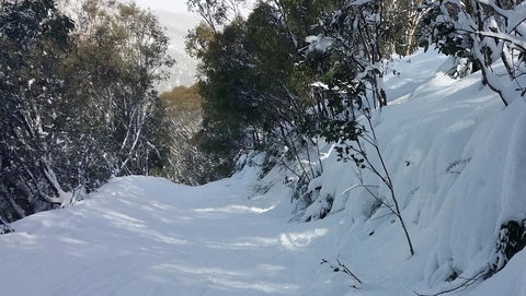 CHILL-OUT - Thredbo - Yamba Accommodation 17