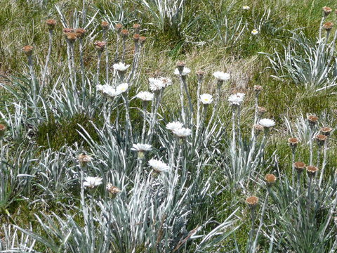 CHILL-OUT - Thredbo - Yamba Accommodation 36